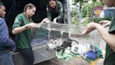 Vietnamese restaurant that killed 300 cats a month to make soup closes