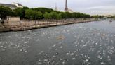 Paris mayor is confident that water quality will allow Olympic swimming