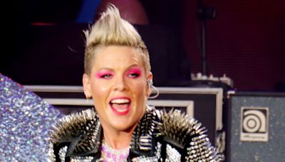 Pink 'slipped under the radar' during a family day out