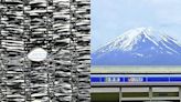 遊客失控！富士山黑幕出現「十多個破洞」 急加貼勿觸警示