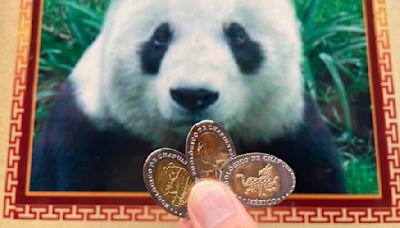 Graba tus monedas de $1 con figuras de animales del Zoológico de Chapultepec en esta máquina