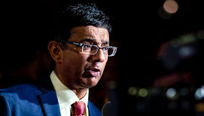 Dinesh D'Souza's bogus 2020 election fraud film pulled by publisher