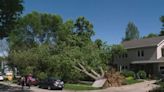 Trees toppled, homes damaged after EF-0 tornado hits Johnston neighborhood