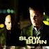 Slow Burn – Verführerische Falle