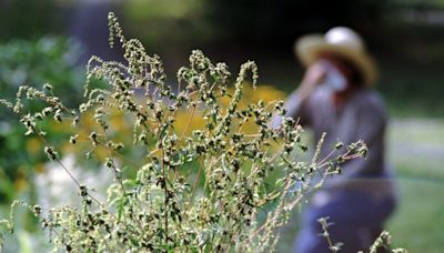 Medical professional sees spike in seasonal allergy patients