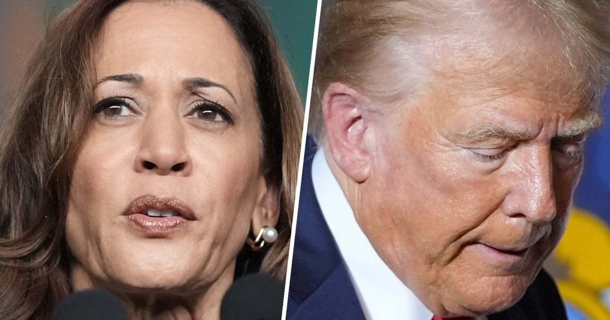 Trump growing increasingly upset over Harris' surging poll numbers: Report