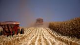 Analysis-Brazil clears bottlenecks to oust US as top corn exporter