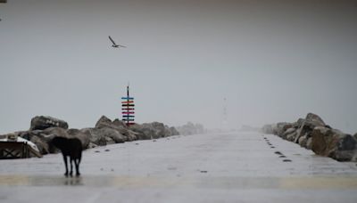 Tormenta tropical Alberto se forma en Golfo de México; deja tres muertos en el estado de Nuevo León