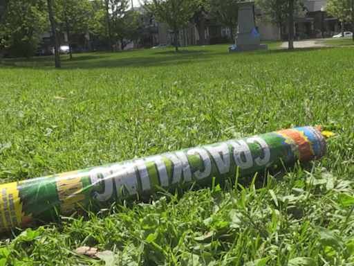 Fireworks, fights and pepper spray: Chaotic Canada Day celebration at a Kitchener, Ont. park