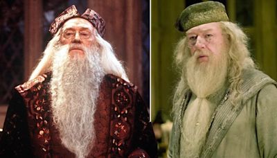 7 top contenders to play Dumbledore in the Harry Potter TV series cast