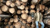 Aunque suene loco, esta startup está talando árboles para salvar el planeta
