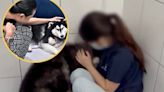 Vet Department takes hold of husky in viral abuse video