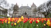 New York’s outdated attorney residency requirement widens justice gap