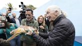 Jane Goodall bautiza a una tortuga para su liberación en aguas de Tenerife (España)
