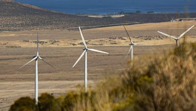 Inslee rejects recommendation to slash proposal for WA wind farm