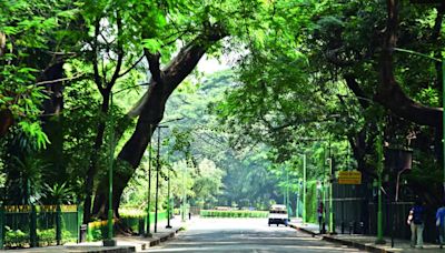 Tinny bins let rats have field day at Cubbon Park