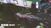 Wolverhampton runner's otter joy at spotting creature in canal