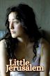 Little Jerusalem (film)