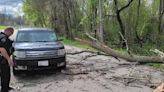 When a tree falls in a city park, who pays for damage?