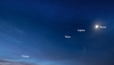 6 planets will align in the night sky in June. Here’s how to see it across Florida