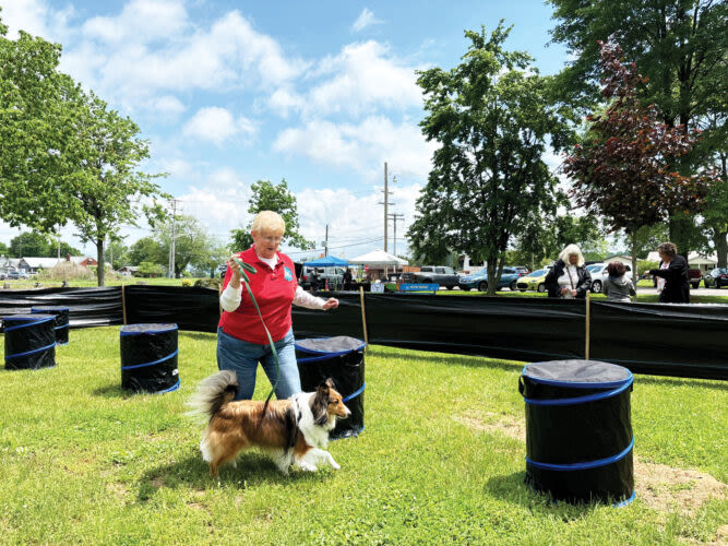 Barking good time: Dog Days in May offers free vaccines for dogs