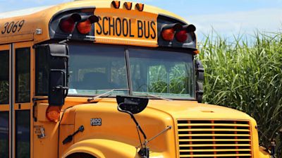 Student injured after tree branch breaks school bus window in Seminole County, district says