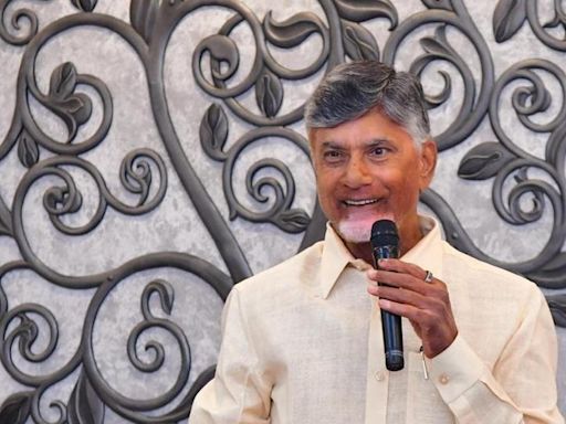 Naidu counters Jagan on ‘political vendetta’ charge