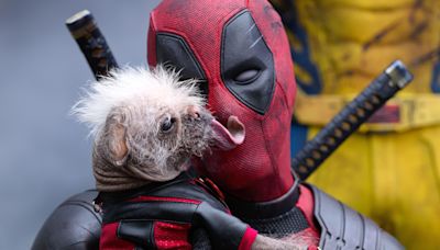 ‘Deadpool & Wolverine’ Clears $438 Million Globally in First Weekend