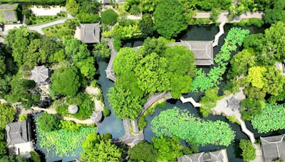 Los jardines más increíbles para visitar en Asia que no te puedes perder