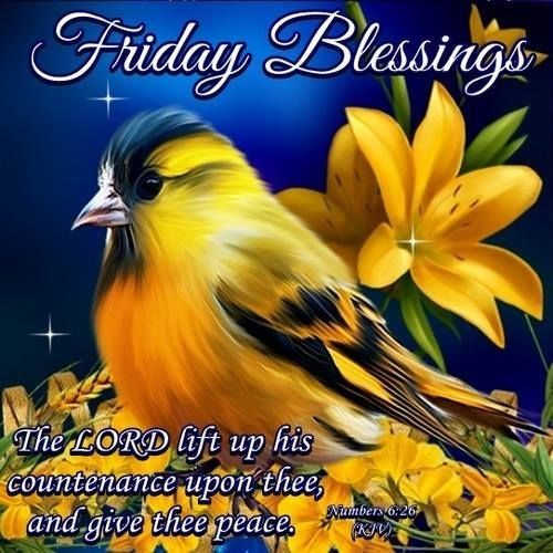 Friday Blessings