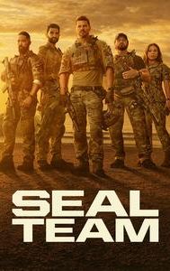 SEAL Team