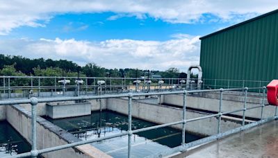 Lough Neagh drinking water plant - a behind the scenes look as algae blooms again