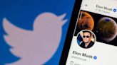 Europe schools Elon Musk that Twitter's wings are already clipped