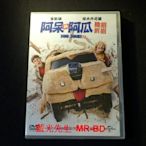 [DVD] - 阿呆與阿瓜：賤招拆招 Dumb and Dumber To ( 傳訊正版 ) -【 我愛上流 】金凱瑞