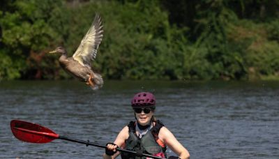 See triathletes race along the American River as historic event returns to Sacramento area