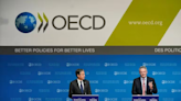 Cuál es la clave para que Argentina pueda avanzar en su ingreso a la OCDE