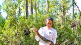 Southwest Florida’s most wanted includes giant snails: Invasive species in your backyard