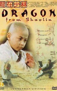 Dragon from Shaolin