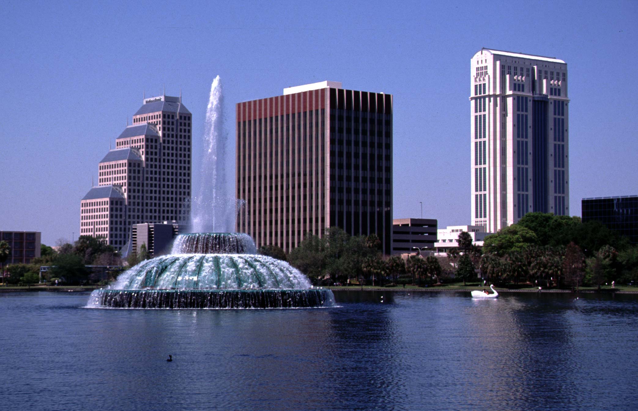 Orlando commissioner allocates nearly $20K to replenish Lake Eola swan population