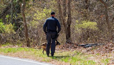 Gilgo case: Police expand Manorville search deeper into woods