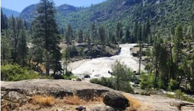 ‘Don’t bury toilet paper,’ say rangers at Yosemite National Park