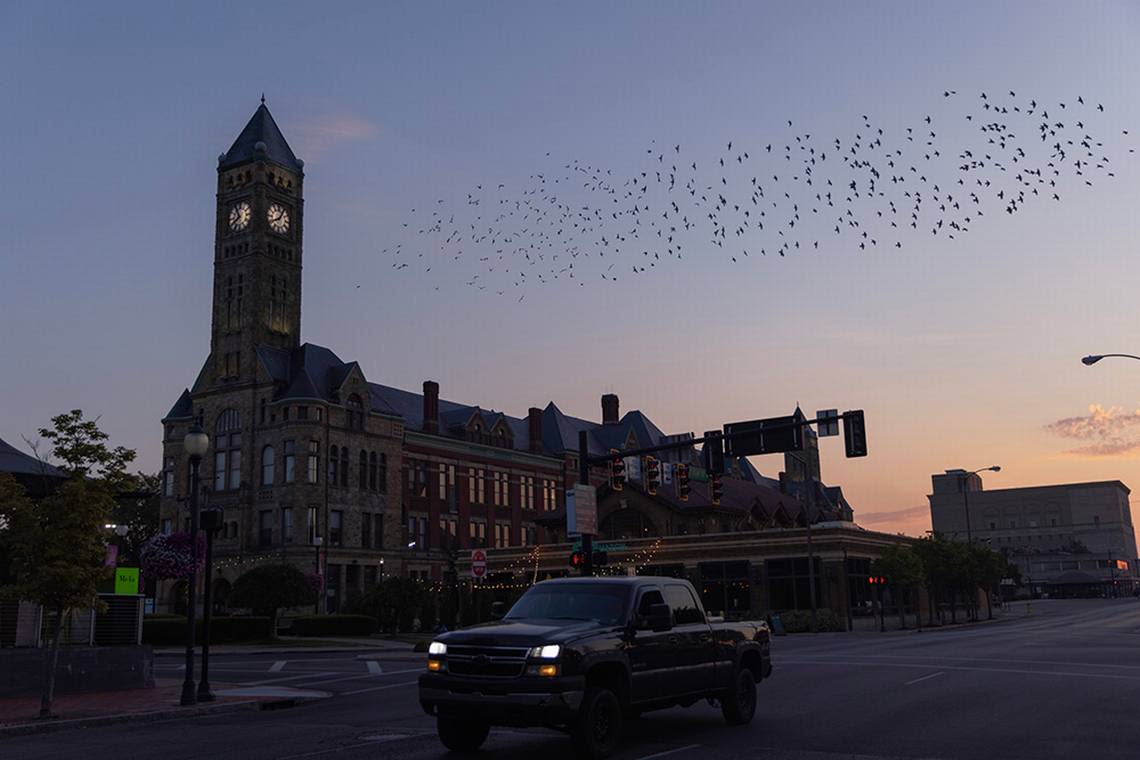 Bomb threat shuts down city hall in Springfield, Ohio, amid falsehoods about Haitians