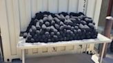 Aseguran 146 kilos de metanfetamina disfrazada de carbón en Nogales, Arizona; intentaban ingresarlos desde México