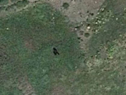 Bigfoot mystery as massive ape-like creature seen walking on Google Earth