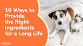 10 Ways to Provide the Right Ingredients for a Long Life