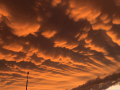 Enigmatic mammatus clouds lend an eerie beauty to post-storm landscape