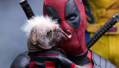 ‘Deadpool & Wolverine’: Ryan Reynolds shares blooper with canine star Dogpool and it’s all things hilarious