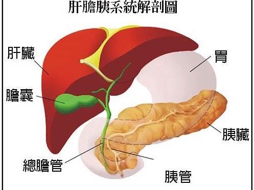 她不菸不酒無症狀 「家人1習慣」害她罹癌王 醫嘆：來不及了