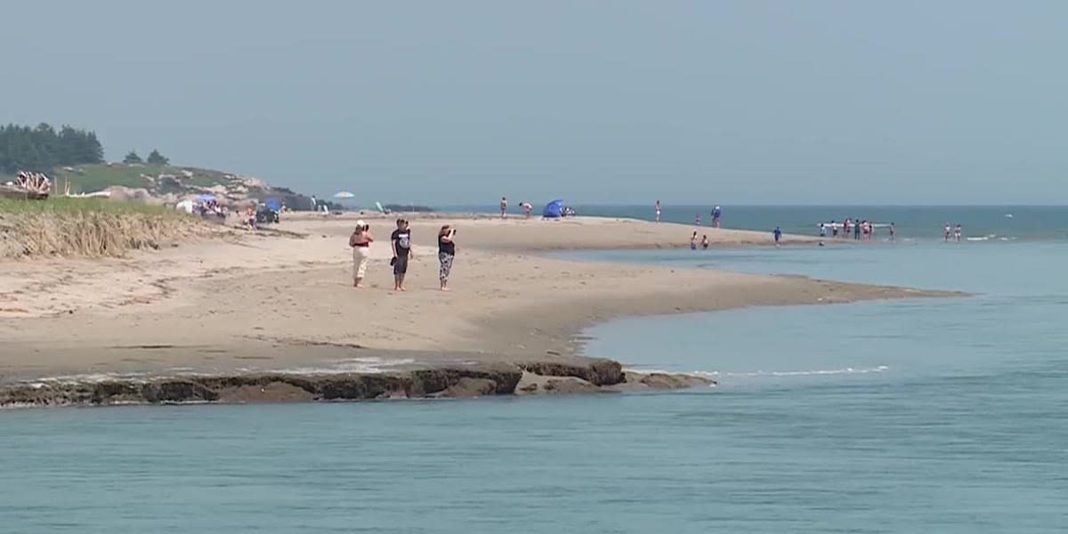 ‘I can’t get out’: Woman walking on popular beach gets trapped in quicksand up her waist