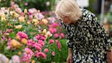 Chelsea Flower Show tickets and how to get last-minute entry